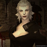 Final Fantasy XIV: A Realm Reborn