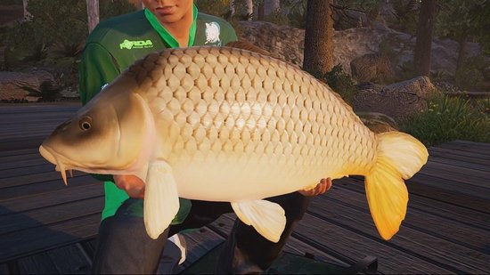 Fishing Sim World Pro Tour: Collectors Edition