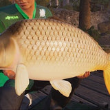 Fishing Sim World Pro Tour: Collectors Edition