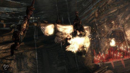 Tomb Raider (2013) - Survival Edition