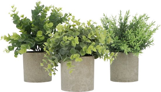 GreenDream® Kunstplanten - stuks - Cadeautip