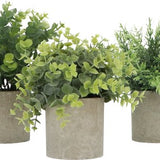 GreenDream® Kunstplanten - stuks - Cadeautip