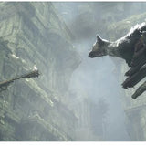 The Last Guardian - PS4