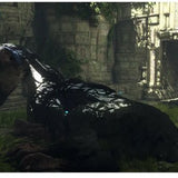 The Last Guardian - PS4
