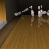 Brunswick Pro Bowling