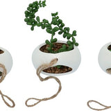 GreenDream® Kunstplanten - in - Cadeautip