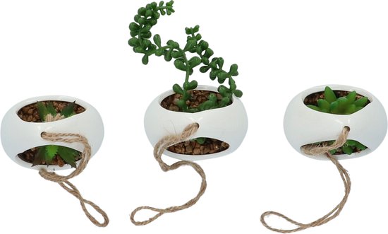 GreenDream® Kunstplanten - in - Cadeautip
