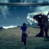 The Last Remnant