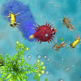 Spore - Classics Edition - PC-MAC