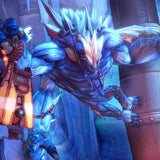Borderlands 2