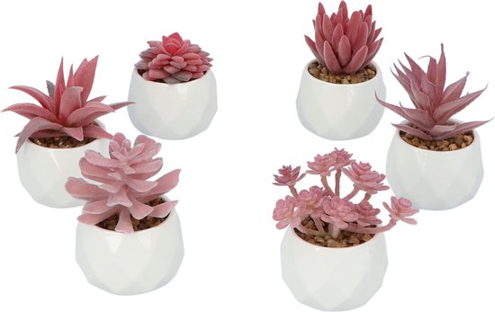 GreenDream® Kunstplanten - in - Cadeautip
