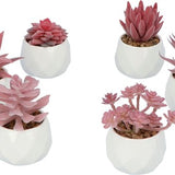 GreenDream® Kunstplanten - in - Cadeautip