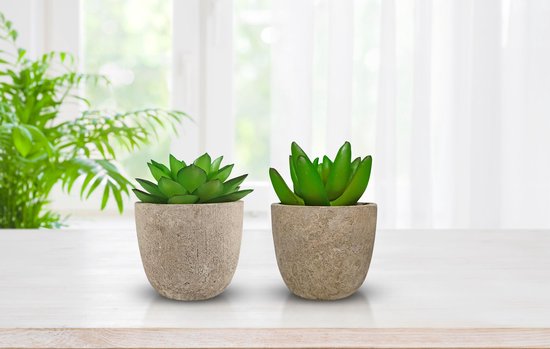 Kunstplanten - Vetplanten - stuks - Cadeautip