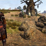 Age Of Conan + Add-on  Rise Of The Godslayer (Gold Pack)