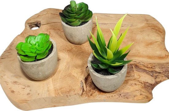 3 stuks Kunstplanten - Kamerplanten - Nep planten - Vetplanten - Cadeautip