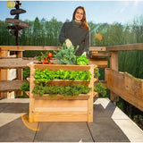 Westmann verhoogde plantenbak Premium XL - 65x90x73 cm