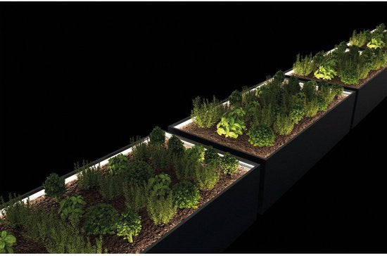 Herstera Garden - HG08978802 - Plantenbak - Bloembak - Tuin Hochbeed - 50 x 100 x 150 cm