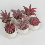 GreenDream® Kunstplanten - in - Cadeautip