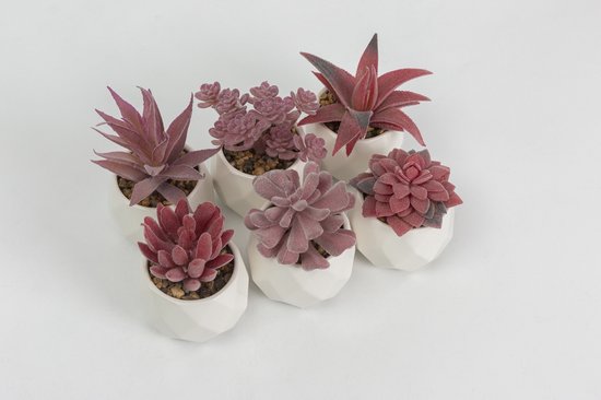 GreenDream® Kunstplanten - in - Cadeautip