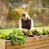 Westmann Houten Verhoogde Plantenbak Moestuin Asket XL - 160x70x90cm