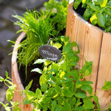 Westmann - WM102424 - Plantenbak - Bloembak - Tuin Hochbeed - 55 x 55 x 74 cm