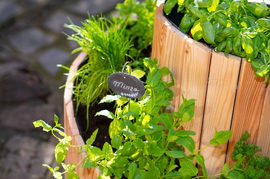 Westmann - WM102424 - Plantenbak - Bloembak - Tuin Hochbeed - 55 x 55 x 74 cm