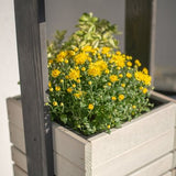 Westmann Maja Houten Plantenbak Pilaar 50x50x170 cm - Grijs