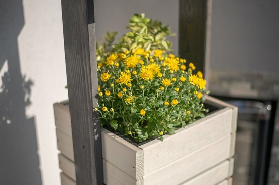 Westmann Maja Houten Plantenbak Pilaar 50x50x170 cm - Grijs