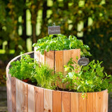 Westmann - WM102424 - Plantenbak - Bloembak - Tuin Hochbeed - 55 x 55 x 74 cm