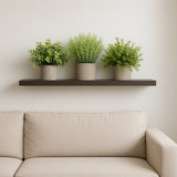 GreenDream® Kunstplanten - stuks - Cadeautip