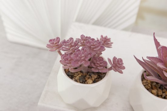 GreenDream® Kunstplanten - in - Cadeautip