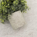 GreenDream® Kunstplanten set met 3 Kleine kunstplanten 20 cm - Cadeautip