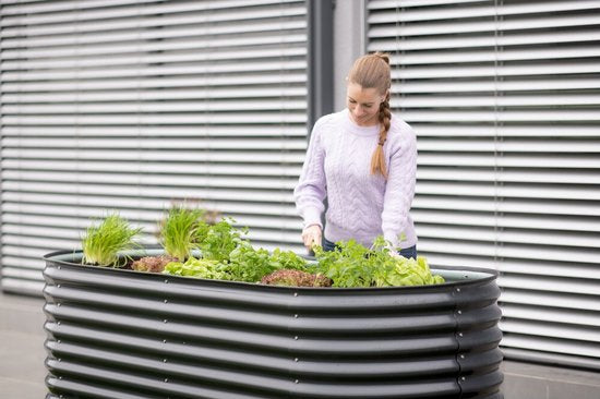 Metalen Plantenbak Westmann ISPB170H-A - Bloembak - Tuin Hochbeed - 240x80x82 cm