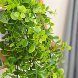 GreenDream® Kunstplanten - in - Cadeautip