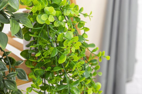 GreenDream® Kunstplanten - in - Cadeautip