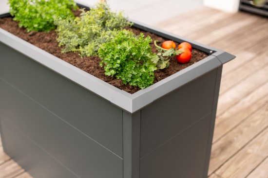 Westmann Plantenbak WMHPS771005 - Bloembak - 50x150x77 cm