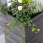 Westmann Mono Houten Plantenbak Pilaar 35x35x56 cm - Grijs