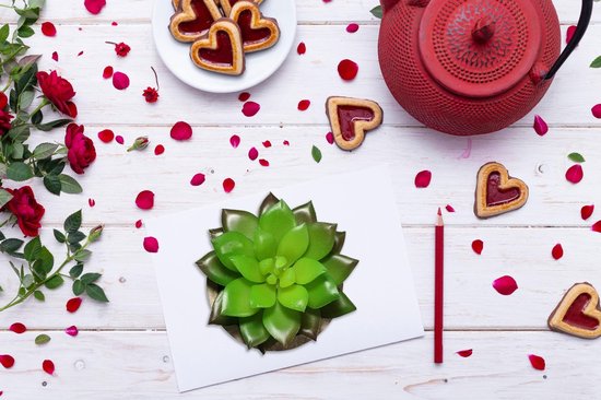 Kunstplanten - Vetplanten - stuks - Cadeautip