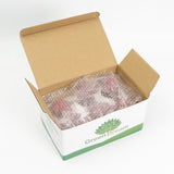 GreenDream® Kunstplanten - in - Cadeautip