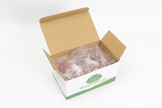 GreenDream® Kunstplanten - in - Cadeautip