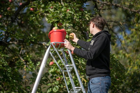 Niwaki Driepoot Tuinladder 300-360 cm Verstelbaar- Snoeiladder Plukladder