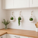 GreenDream® Kunstplanten - in - Cadeautip