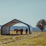 ShelterLogic® Weidetent SL58542 - 680x730x380cm - Groen