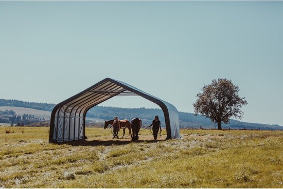 ShelterLogic® Weidetent SL58542 - 680x730x380cm - Groen