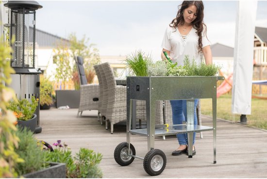 Herstera Garden® Hoge Plantenbak Verrijdbaar Barcelona - 35x75x80cm