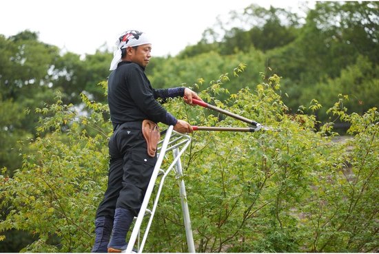 Niwaki - Tuinladder - NW03000