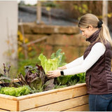 Westmann Houten Verhoogde Plantenbak Moestuin Asket XL - 160x70x90cm