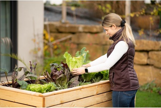 Westmann Houten Verhoogde Plantenbak Moestuin Asket XL - 160x70x90cm