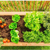 Westmann Plantenbak Kruidenbak WMHL170 - 170x90x84 cm