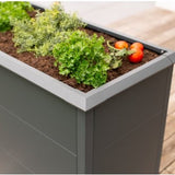 Westmann - WMHPS771005 - Plantenbak - Bloembak - Tuin Hochbeed - 100 x 50 x 77 cm
